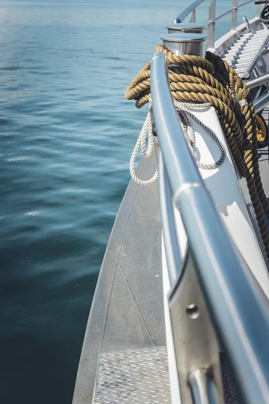 Peace.Boats Premium Domain